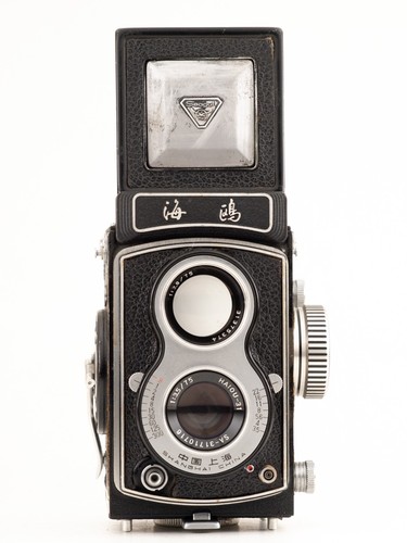 Seagull 120 film tlr - 4,