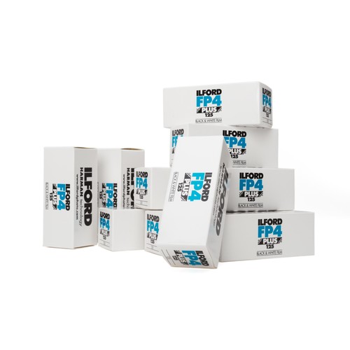 10x ilford fp4 - 125, 120